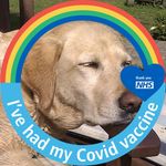 Kate Loder - @loderkate - Instagram
