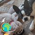 Kate Loving Shenk - Facebook