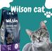 Wilson Cats Litter - Facebook