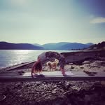 Kate Luther - @katefl2 - Instagram