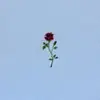 katelydon35 - @katelydon35 - TikTok