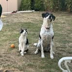 Kate Lyons - Facebook
