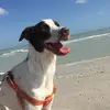 Kat Macchia - @katmacchia - TikTok