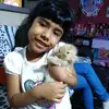 Rosa amelia Rosado c - @kate_maciel4 - TikTok