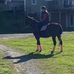 Kate Macneil - Facebook