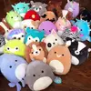 Squish - @kates.squishmallow - TikTok