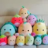 Squishmallow Kate! - @squishmallow._.kate - TikTok