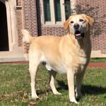 Kate Mancini - @sully_bears_mom - Instagram