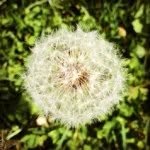Kate Manna Braunstein - @ktbstein - Instagram