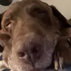 katie.mannix - @katie.mannix - TikTok
