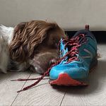 Kate Mansfield - @mansfield_mummy - Instagram