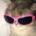 Kate Mao - Facebook