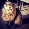 Kate_Mao - @kate_mao - TikTok