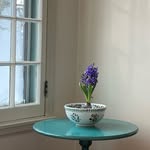 Kate Maple - @katemapletree - Instagram