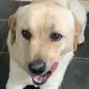 Kate - @kate.markey - TikTok