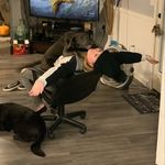 kate_marks - @kate_marks - Instagram