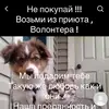 kate.maskatova79 - @kate.maskatova - TikTok