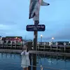 Kate - @kate.masters - TikTok