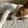 katemasters - @katemasters - TikTok
