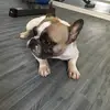 Kate mate - @rhys343 - TikTok