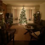 mayfield_kate - @mayfield_goldkate - Instagram