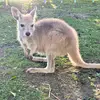 kate - @katemayo_ - TikTok