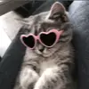 rhehana_kate - @kate_mayo - TikTok