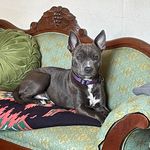 Kate Mcatee - @mcatee9636 - Instagram