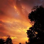 kate_mcclellan_hunt - @kate_mcclellan_hunt - Instagram