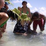 Kate McCombs - @travels_with_my_husband - Instagram