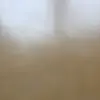 katemcelvaney - @katemcelvaney - TikTok