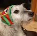 Kate McManus - Facebook