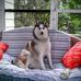 Kate Meehan - Facebook