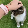 katemulder5 - @katemulder5 - TikTok