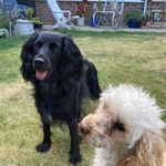 Kate Napier - @katen16 - Instagram
