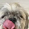 katie nickerson - @icup.gov - TikTok