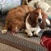 Kate Nowlin - Facebook