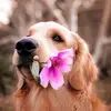 Kate - @kateodonnell484 - TikTok