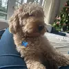 Kate O ' Donnell - @kateodonnell1295 - TikTok