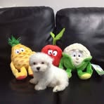 Kate Ong - Facebook