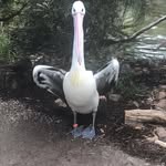 Kate Ord - @workingclassmum - Instagram