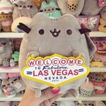 Kate Orth - @kates.pusheens - Instagram
