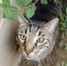 Katie Orth - Facebook
