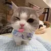 Cat_slay877 - @kateott7 - TikTok