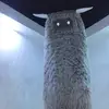 kateott77 - @thecheeseonthepizza - TikTok