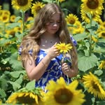 𝓀𝒶𝓉ℯ ❀ ℴ𝓋ℯ𝓇𝓉ℴ𝓃 - @kroverto2 - Instagram