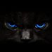 Kat Pack - Facebook