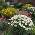 Katie Pappas - Facebook