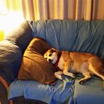 Kathy Partlow - @partlow.kathy - Instagram