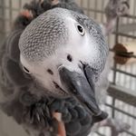 Kate Patrick - @kate.patrick.758 - Instagram